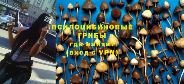 молекула духа Нягань