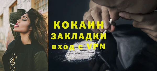 дживик Няндома
