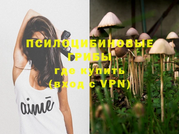 молекула духа Нягань