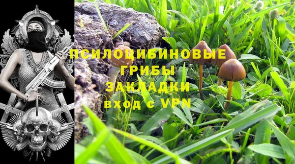 амф Нязепетровск