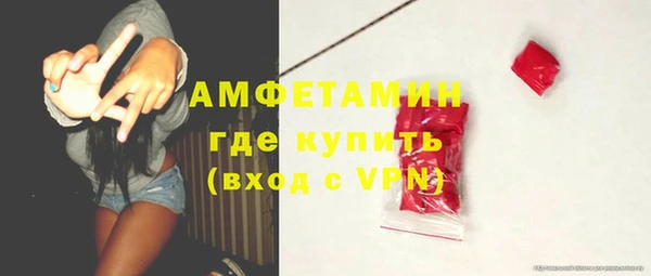 дживик Няндома