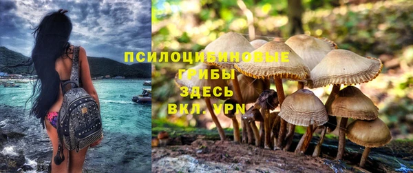 дживик Няндома