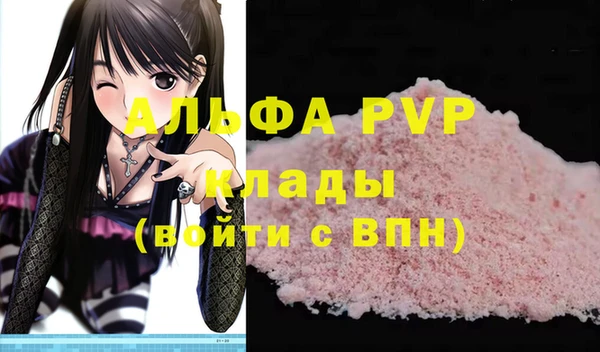 молекула духа Нягань