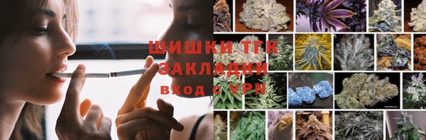 дживик Няндома