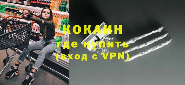 дживик Няндома